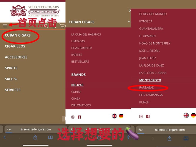 mmexport1766852917349|666x500，