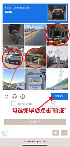 mmexport1766852867758|240x500，