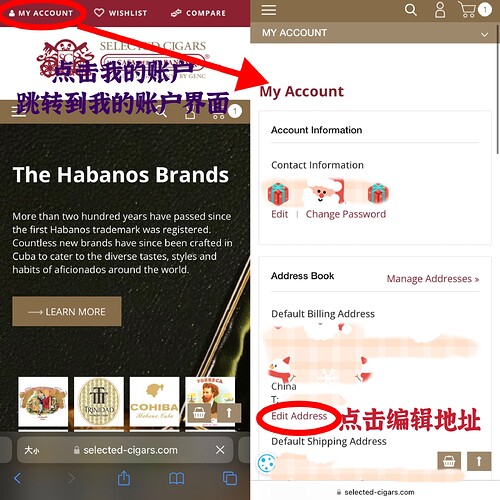 mmexport1766852905655|500x500，